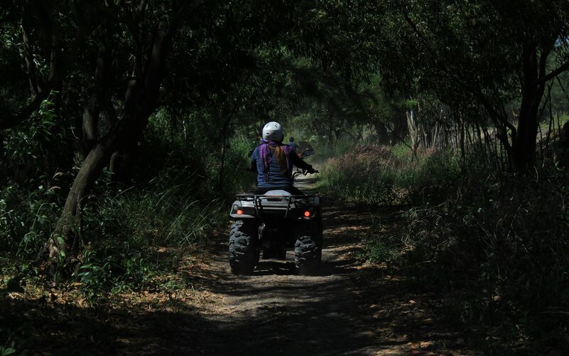 Quad-bike (ATV) rider on a jungle trail