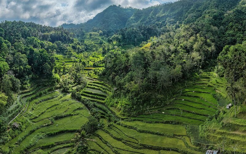 Tegalalang rice terraces in Ubud, Bali